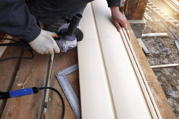 Best Vinyl Siding Installation  in Pocono Woodland Lakes, PA